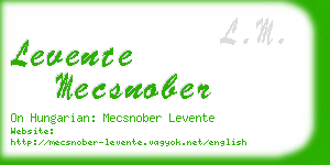 levente mecsnober business card